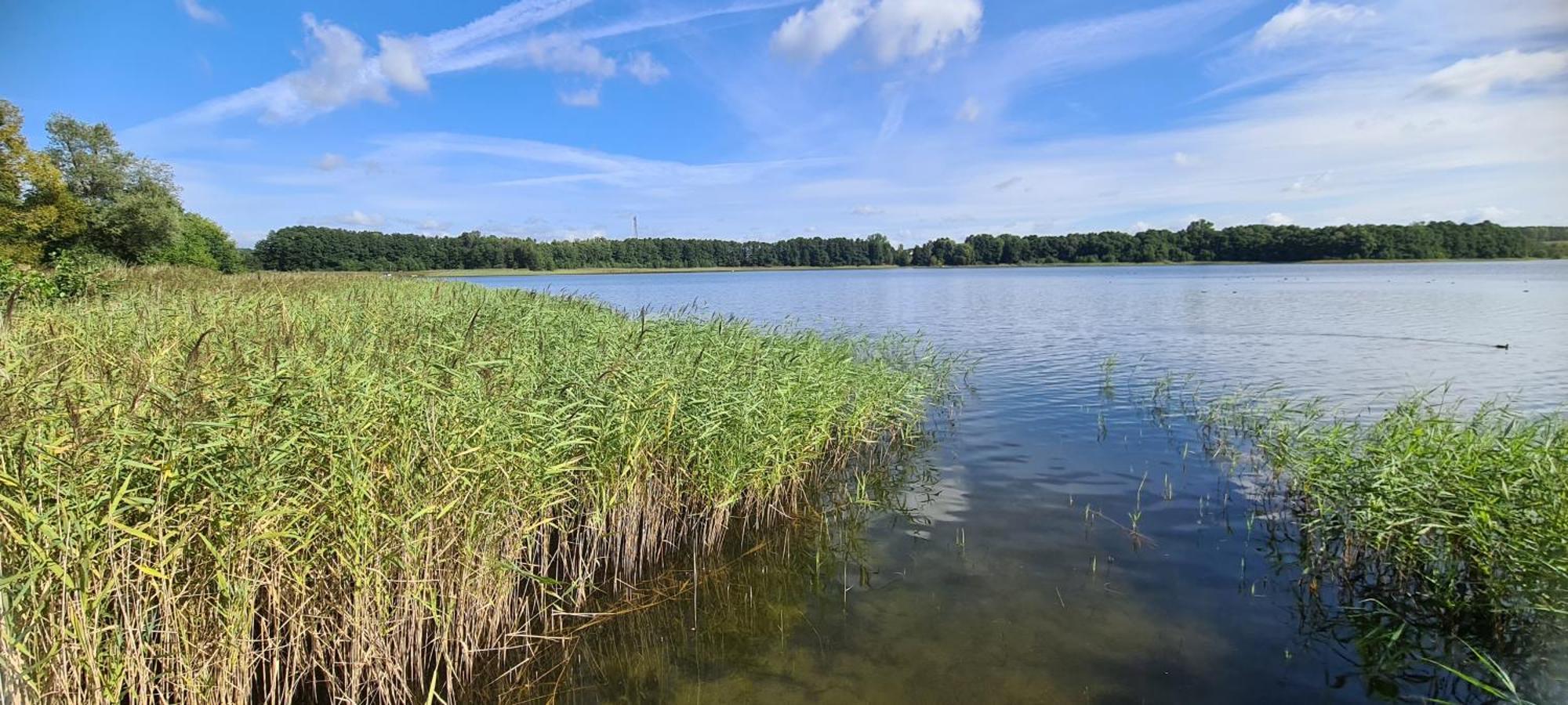 Ferienhof Am Kaebelicksee Kratzeburg المظهر الخارجي الصورة